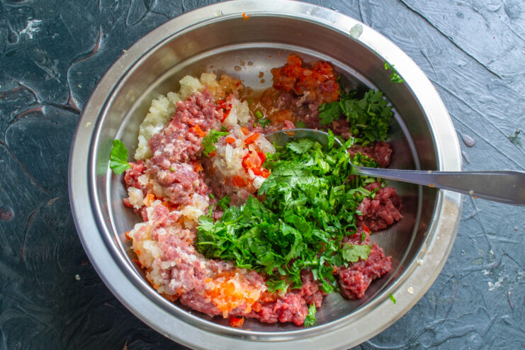 Hierbas aromáticas Mezcla de carne cubierta con cilantro finamente picado